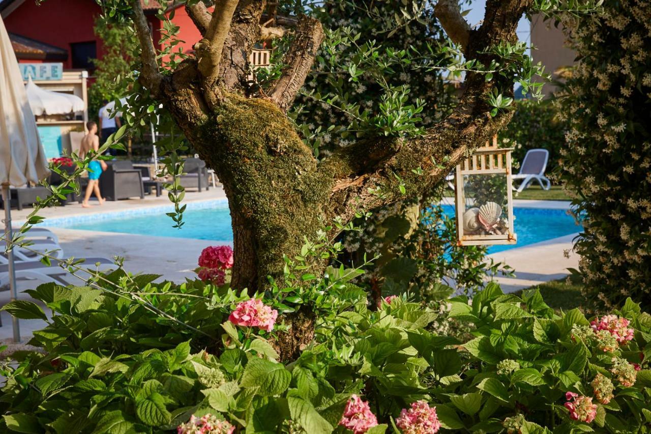 Hotel Villaguarda Prosecco Area Follina Eksteriør billede